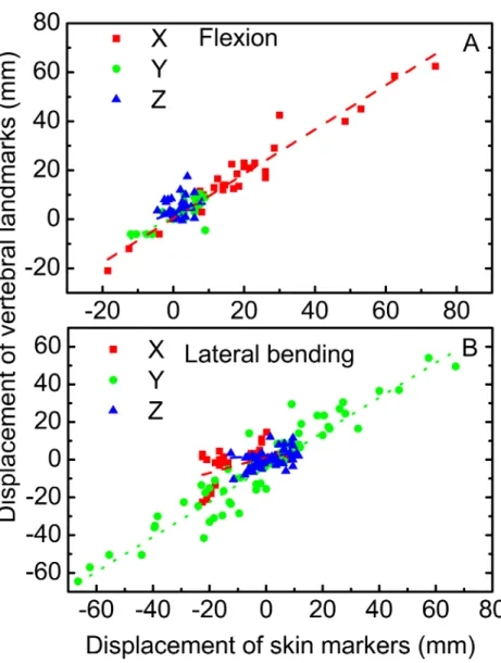Figure 5 Linear relationship between vertebral landmarks and skin markers in the X (dashed lines in red), Y (dotted lines in green), and Z (dash dotted lines in blue) directions for the motion patterns of flexion (A) and lateral bending (B).
