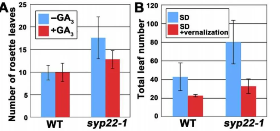 Figure 4. Expression level of FLC was elevated in syp22-1 mutants. The expression levels of FLC, FT, LFY, and SOC1 in 14-day-old wild type (WT), syp22-1, and fve-4 seedlings were examined by qRT-PCR