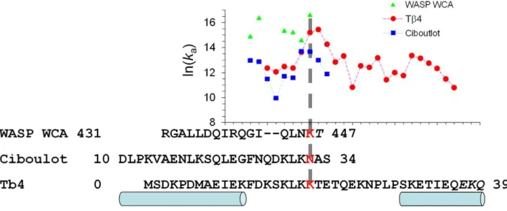 Figure S1D). These favorable interactions explain the significant negative value of DG  el .