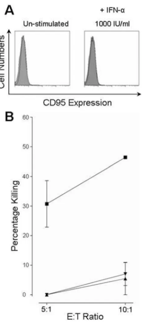 Figure 6. A FAS negative hepatocyte line showed almost complete resistance to CTL killing