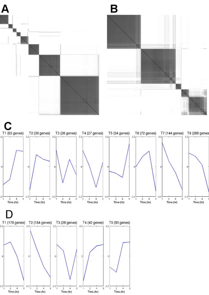 Figure 1. Analysis of temporal profile. Consensus clustering indicates A) 8 clusters for transcript data with the priming dose and B) 5 clusters in the control group