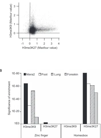 Figure 2. H3me3K9 binds to ZNF Gene Clusters and H3me3K27 Binds to Homeobox Gene Clusters