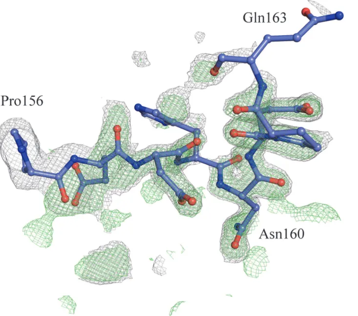 Fig 3. SA-omit σ