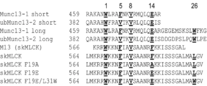 Figure 1. Amino acid sequences of peptides representing the CaM binding motifs of Munc13-1 and skMLCK