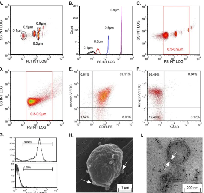 Fig 1. MP analysis by flow cytometry and electron microscopy. Calibration of Navios cytometer using 0.1, 0.3, 0.5, and 0.9 μm beads (Biocytex)