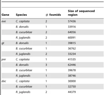 Table 2. Sizes of even-skipped locus (MAS enhancer to stripe 4/6 enhancer). Species Locus (kb) Upstream(kb) Downstream(kb) Coding (aa) D