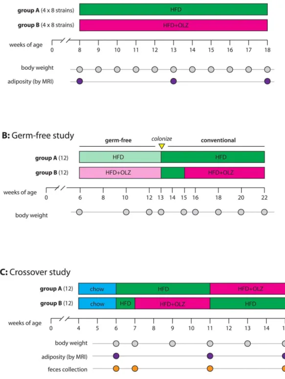 Fig. 1. Experimental design. (A) Eight groups of 8 female mice representing the founder strains of the Collaborative Cross project (A/J, C57BL/6J, 129S1SvlmJ, NOD/ShiLtJ, NZO/HlLtJ, CAST/EiJ, PWK/PhJ, WSB/EiJ) were received from the Jackson Laboratory at 6