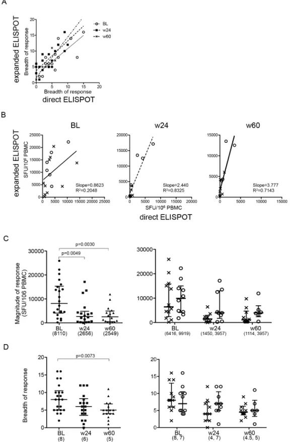 Figure 3. Longitudinal assessment of HIV-specific T cell responses with in vitro expanded T cells