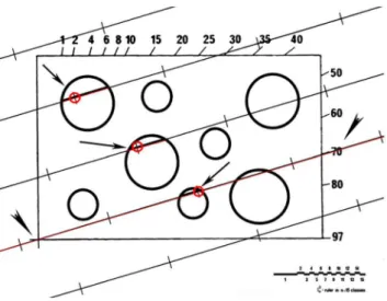 Figure 1. Schema of the test system used to estimate the mean nuclear volume based on the ‘‘point-sampled intercepts’’