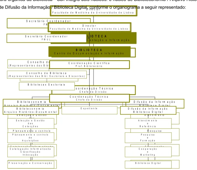 Fig. 5 – Organograma da Biblioteca –CDI
