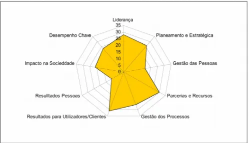 Fig. 6  - Gráfico da Pontuação Total dos Critérios CAF
