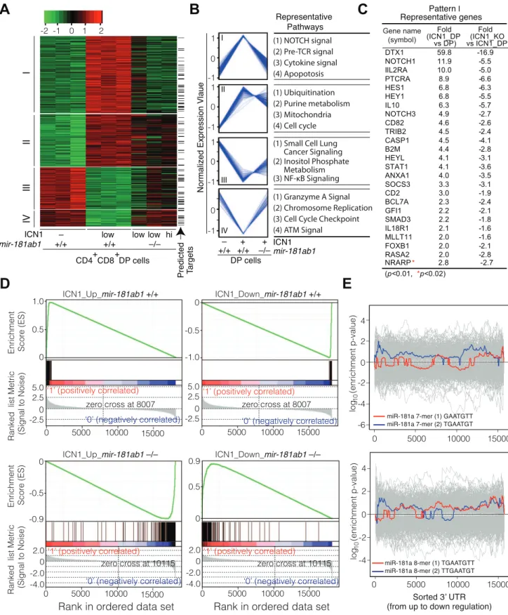 Figure 6. Loss of mir-181ab1 in DP leukemia cells inhibits ICN1-controlled genetic programs