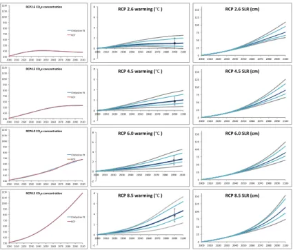 Fig. 3. RCP time series validations. (Left) RCP radiative forcing profiles and Chebyshev polyno- polyno-mial fits