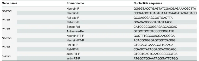 Table 1. Nucleotide sequences of primers used in this study.