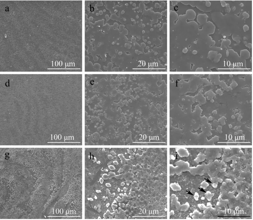 Fig 5. Pf-Rel knockdown disturbed the shell biomineralization (SEM). The oysters used were treated for Pf-Rel RNAi by being injected with either NaCl solution or 15 ng Pf-Rel dsRNA