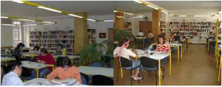 Fig. 7 – Sala de leitura geral 