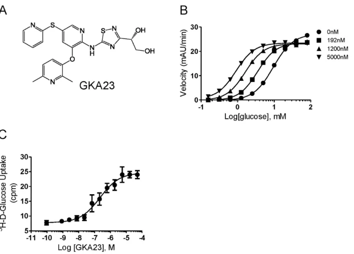 Figure 1. Structure and in vitro characterization of GKA23. (A) The chemical structure of GKA23