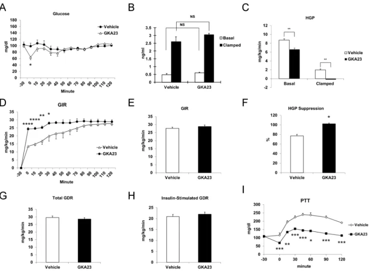 Figure 3. GKA23 decreases hepatic glucose production. (A) Glucose levels during the euglycemic hyperinsulinemic clamp study in control or GKA23 treated rats (n = 6/group)