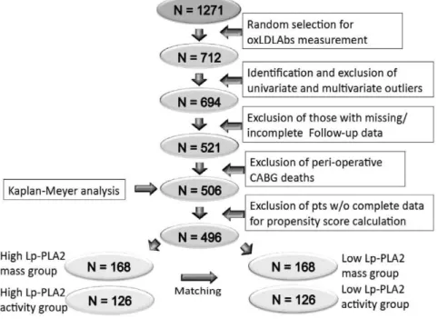 Figure 1. Data analysis flow chart. The flow chart shows the selection process by which the patients were submitted to statistical analysis.