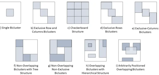 Figure 2.6: Examples of different types of Bicluster structures (adapted from [44]).