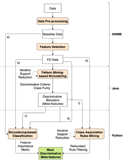 Figure 3.2: Detailed workflow of the proposed DMD approach.