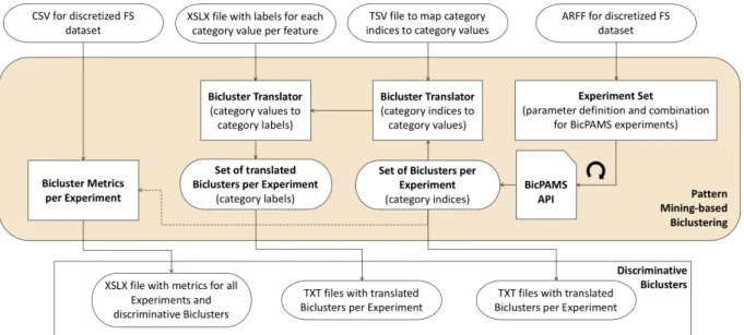 Figure 3.5: Pattern Mining-based Biclustering details.