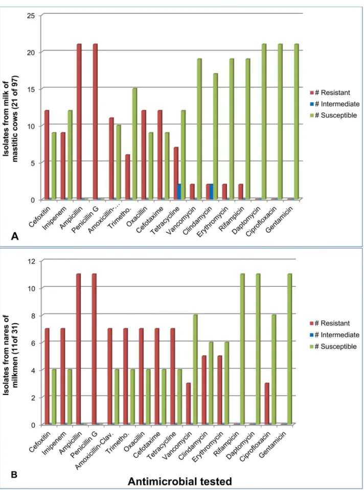 Figure 1. Antimicrobial resistance among staphylococci from cows (panel A) and milkmen (panel B)