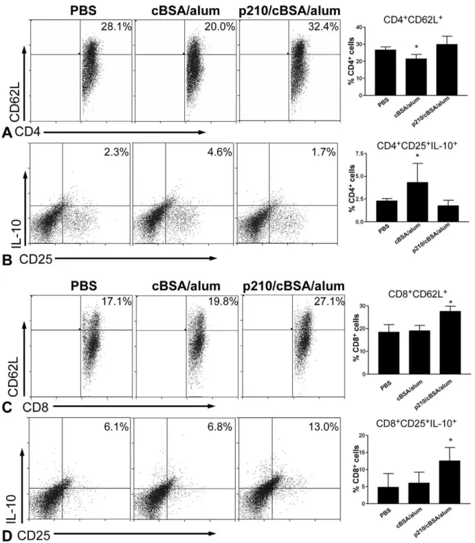 Figure 3. Spleen T lymphocyte response to p210 immunization. (A) Representative scatter plots of CD4 + gated cells expressing CD62L from spleens of the different groups, and the results plotted in a bar graph showed a significant reduction in the cBSA/alum