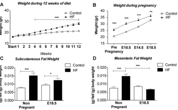 Figure 1. Pregnancy results in increased weight gain and selective changes in fat depots in HF-fed mice