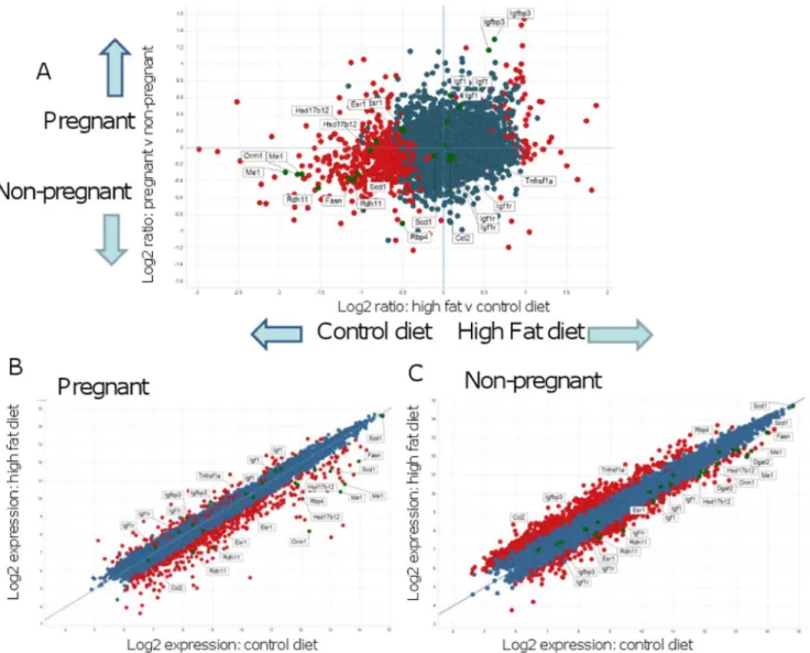 Figure 3. Array analysis of mesenteric fat depots from control and HF-fed obese mice using Spotfire Decision Site