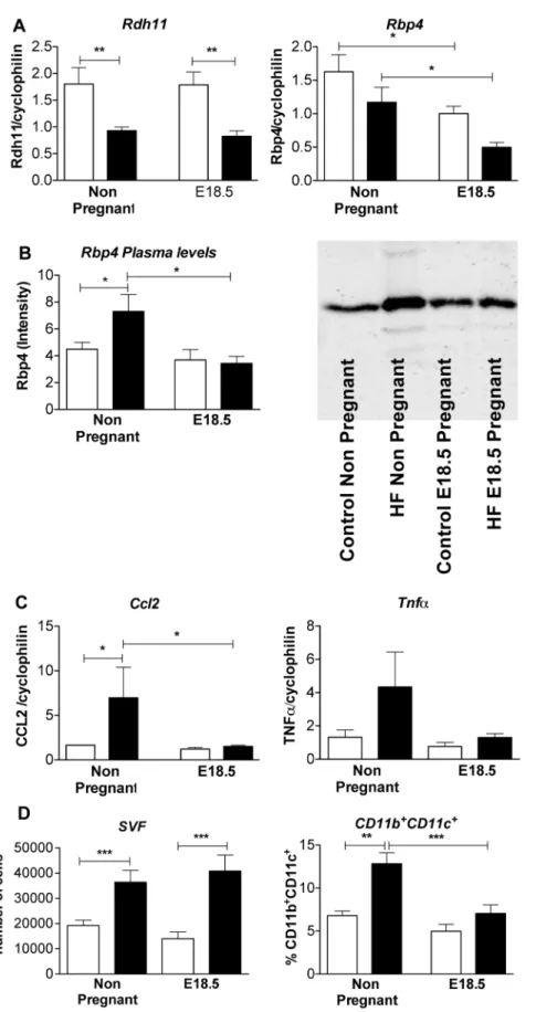Figure 5. Changes in expression of genes involved in retinol metabolism and inflammation