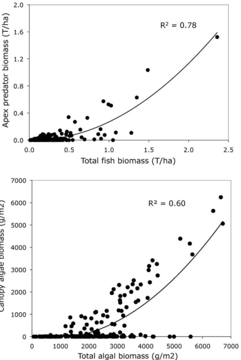 Figure 5. Top: Relationship between total fish biomass and biomass of apex predators. Bottom: Relationship between total biomass of algae and biomass of canopy algae (Fucales)
