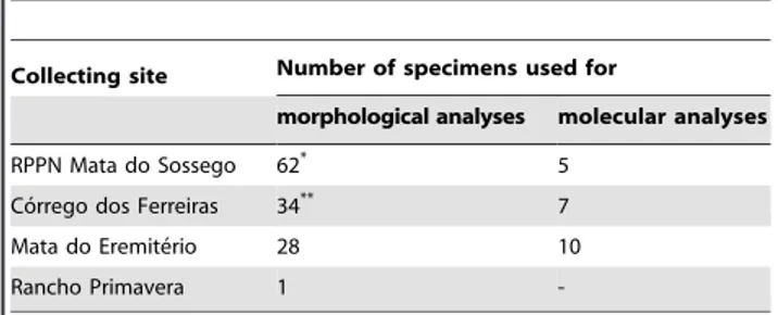 Table 4. Number of specimens of new onychophoran species analysed from each locality.