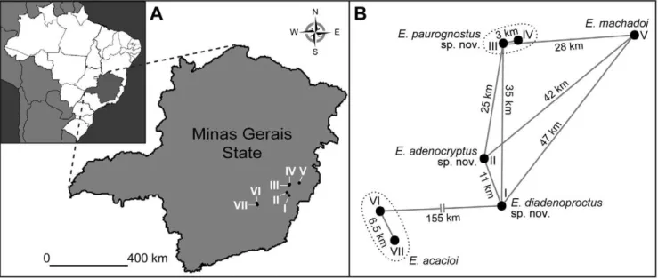 Figure 1. Distribution of onychophoran species in the Minas Gerais State of Brazil, including the three new species described herein