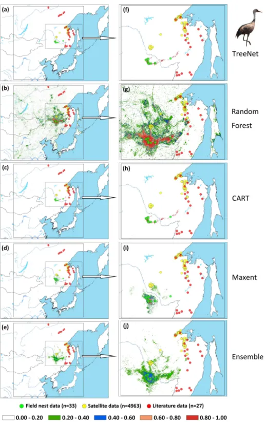 Figure 5 Prediction maps for Hooded Cranes and zoomed-in maps showing the four models (TreeNet, Random Forest, CART and Maxent) and Ensemble model in detail