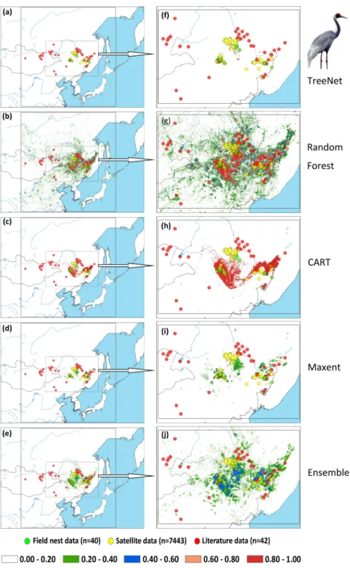 Figure 6 Prediction maps for White-naped Cranes and zoomed-in maps showing the four models (TreeNet, Random Forest, CART and Maxent) and Ensemble model in detail