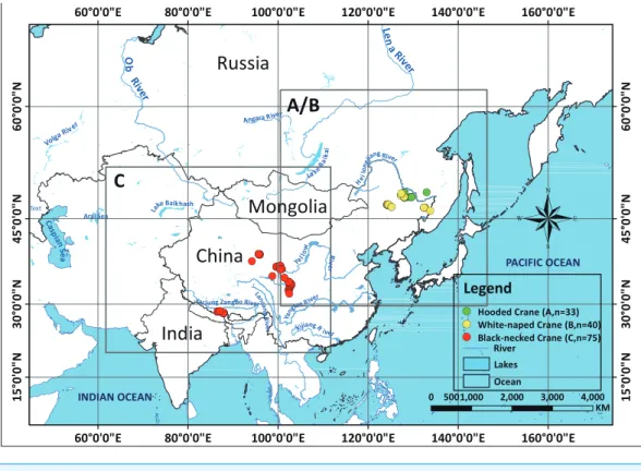 Figure 1 Study areas for three species cranes.
