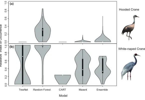 Figure 3 Violin plots of the Relative Index of Occurrence (RIO) for four SDMs and Ensemble model for Hooded Cranes and White-naped Cranes based on satellite tracking data