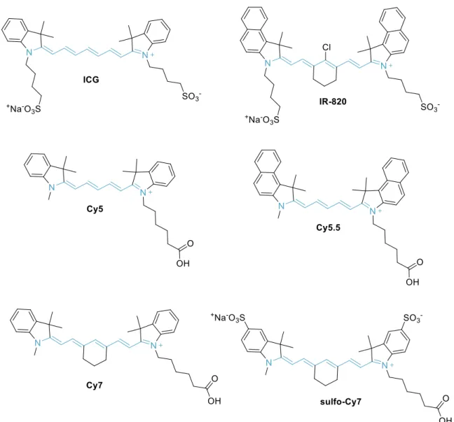 Figure 1.8. Chemical structure of some cyanine dyes: first digit identifies the number of carbon atoms  between the indolenine groups and the suffix .5 is added for benzo-fused cyanines
