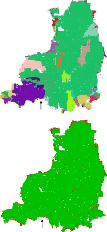 Fig. 6. Top: State of desynchronization of the first event from Fig. 5 at t = 3. Individual events are marked with random colors