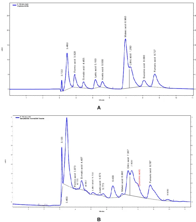 Figura  8  –  Cromatogramas  representativos:  A)  Mistura  de  soluções  padrão  dos  ácidos  orgânicos  analisados  (ácido  fórmico,  D-málico,  láctico,  acético,  maleico,  cítrico,  succínico  e  fumárico);  B)  Amostra de mel da Ilha Terceira