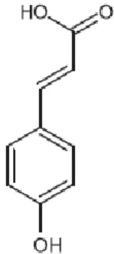 Fig. 4 – Estrutura molecular do ácido caféico (Biesaga e Pyrzyńska, 2003)  