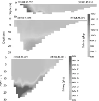 Fig. 7. Bathymetric levels down to 5.8 m below the surface level measured during the 2005 according to the available digital model of the sea at the area where the channel connecting the two lobes is located