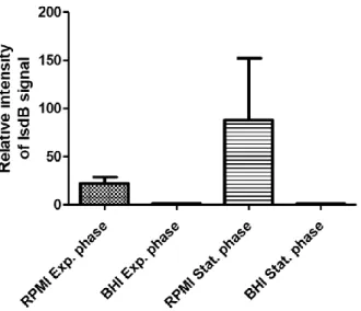 Figure 10.1: IsdB expression in exponential and stationary phase cells grown in RPMI or BHI