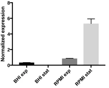 Figure 11: Normalized expression of IsdB-mRNA in RPMI and BHI, in the two phases of Staphylococcus  aureus growth