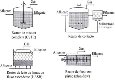 Figura 7 - Principais reatores anaeróbios de biomassa em suspensão (CCE). 