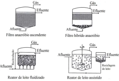 Figura 8 - Principais reatores anaeróbios de biomassa imobilizada (CCE). 