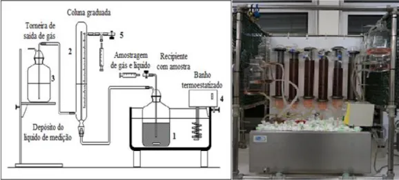Figura 14 - Sistema utilizado nos testes de biodegradabilidade e respetiva foto do ensaio