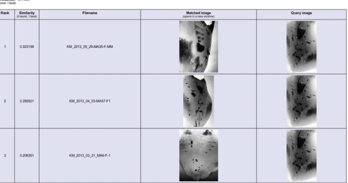Figure 5. The ‘Manta Matcher’ matching algorithm screen grabs for INNLP0031A showing the top three matched images