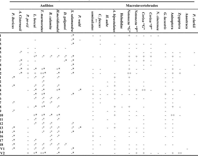 Tabela III – Classificação das espécies de Anfíbios e Macroinvertebrados como Raro (-), Frequente (+) e Abundante (++) nos charcos amostrados (ver métodos)